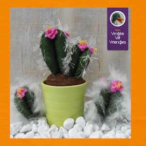 May include: Three felt cactus plants in pots with pink flowers. The larger cactus is in a green pot and the smaller two are on white stones. The text "Atelier Vrolijke Vilt Vriendjes" is on a purple tag with a cartoon duck.