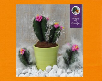 Cactus pdf con la prima foto