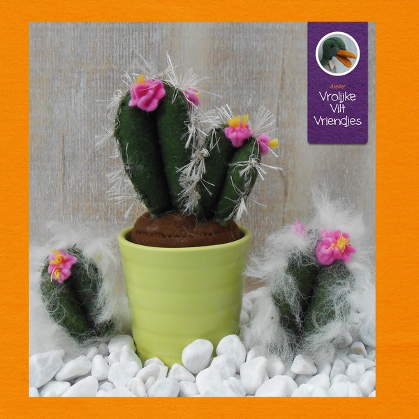 Cactus pdf met stap- voor stap foto's