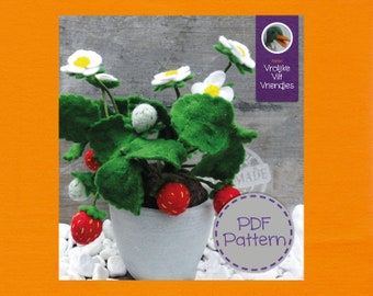 Strawberry plant PDF with step by step photos