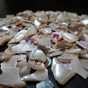 Frammenti, scaglie, graniglia conchiglia vera madreperla sacchetto 0.4kg, decorazione, bricolage
