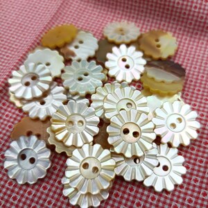 Op de afbeelding: Een verzameling witte en bruine schelpknopen met een bloemmotief. De knopen hebben twee gaten en zijn in een stapel gerangschikt.