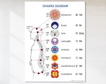 May include: A white poster titled "CHAKRA DIAGRAM" with a diagram of the human spine and the seven chakras, each represented by a colorful symbol. The poster is displayed on a white wall. A pink chair and a potted plant are in the room.