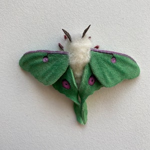 Luna moth, true to size, needle felted, posable, suede,moth figurine, decoration.