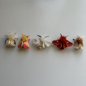May include: Five felt moth ornaments in various colours, including white, pink, yellow, orange, and brown. The moths are arranged in a row on a white background.