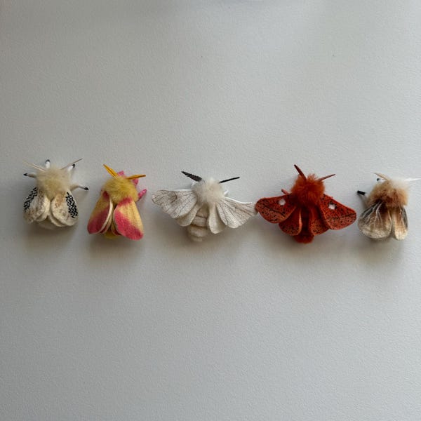 Cuccioli, infeltriti ad ago, statuette di falene, decorazioni, fatti a mano, snodabili, piccoli animali domestici, pura lana, mini me.