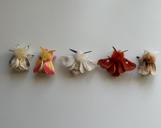 Puppies, needle felted, moth figurine, decoration, handmade, posable, tiny pet, pure wool, mini me’s.