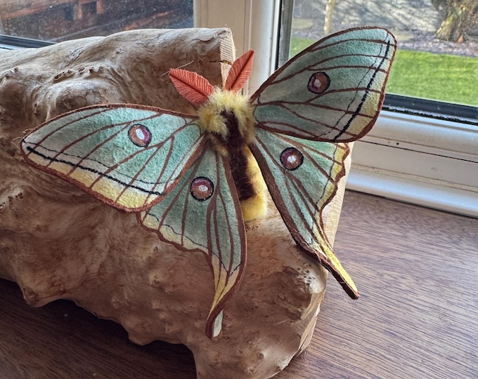Needle Felted Spanish Moon Moth Figurine: Handmade Posable Decoration