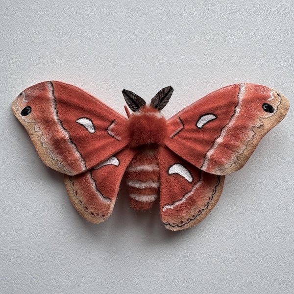 Nadel gefilzte Ceanothus Seiden Motte: Posierbare handgemachte Wolle Figur.