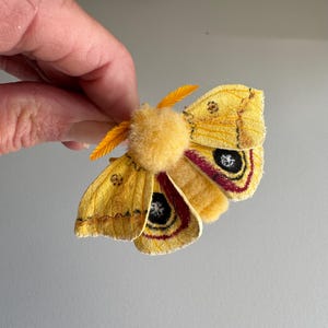 Polilla IO, fieltro con aguja, figura de polilla, decoración, hecha a mano, articulada.