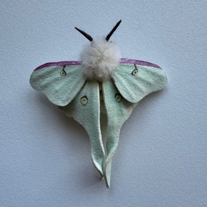 Luna moth, true to size, needle felted, posable, suede,moth figurine, decoration.
