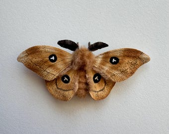 Falena Tau realizzata a mano in feltro ad ago: possibile decorazione