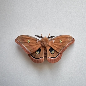 Polilla Polyphemus, fieltro de aguja, figura de polilla, decoración, hecha a mano, articulada, mini peluche.