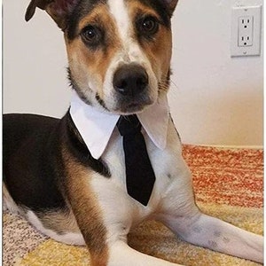 Cute Cotton Adjustable Dog Formal Necktie Dog Bow Ties Pet Accessories