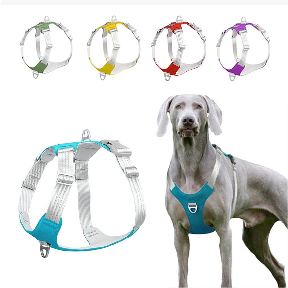 Airtag Harnais De Poitrine Chien Cuir Collier Traction Harnais