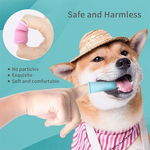 Dog teeth top cleaning supplies