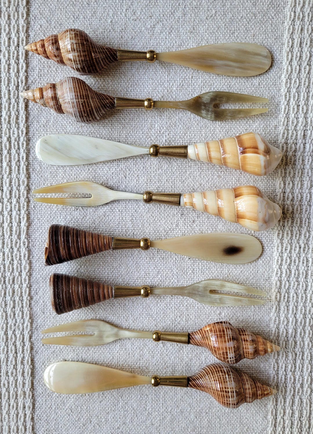 Serving Shell Mid-century 8-piece Coastal Seashell Appetizer Serving Set, Conch ...