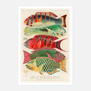 Poster vintage della Grande Barriera Corallina australiana, stampa pubblicitaria del Queensland, pesce, poster retrò australiano vintage