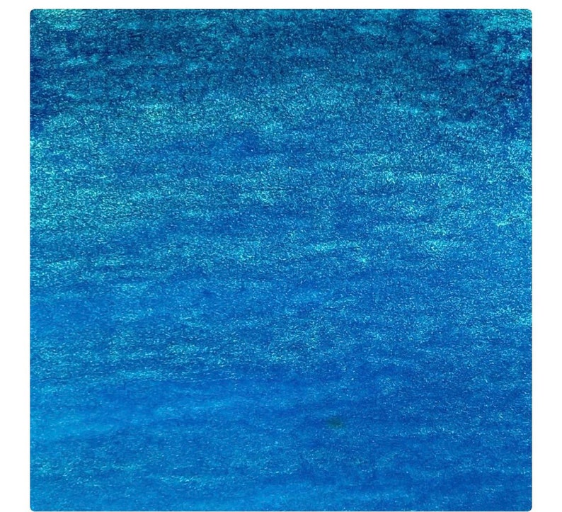 Lindys Magical  Delphinium Turquoise image 1