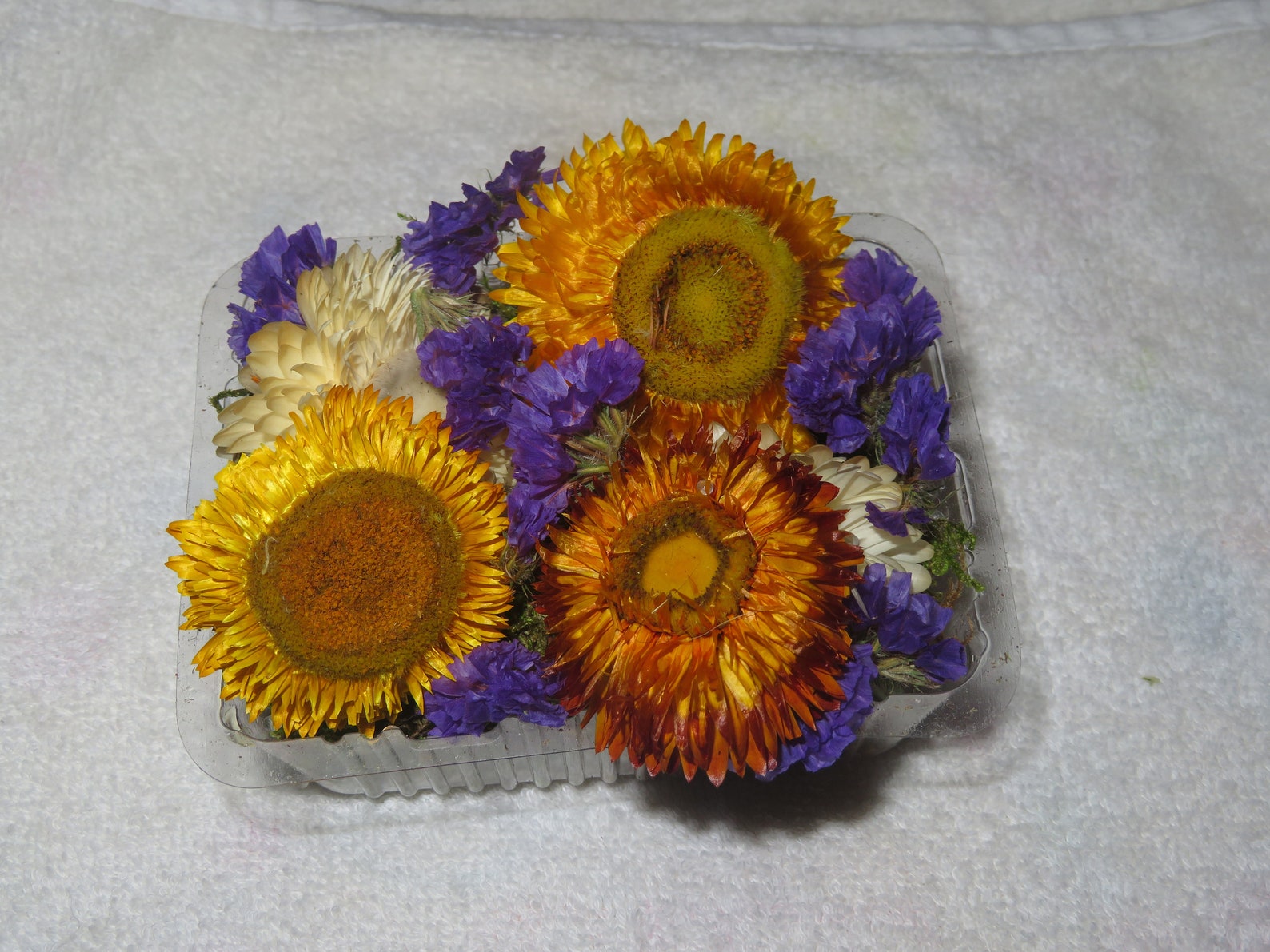 5 natural large dried straw flowers Purple statice for Etsy