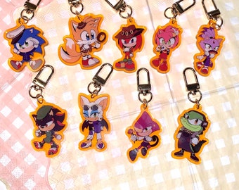 May include: Nine colorful keychains featuring characters from the Sonic the Hedgehog franchise. The keychains are made of clear acrylic with a gold metal ring. The characters include Sonic, Tails, Knuckles, Amy, Blaze, Shadow, Rouge, and Vector.