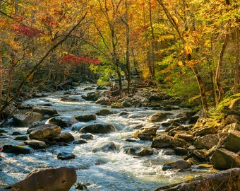 White Water River in Fall Foliage, Autumn in Great Smoky Mountains, Rural Tennessee Landscape, National Park, Photograph Canvas or Print