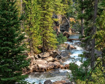 Cascading Creek White Water Stream with Pine Trees, Jenny Lake, Grand Tetons, Wyoming Photography. Western Fine Art Photograph or Canvas