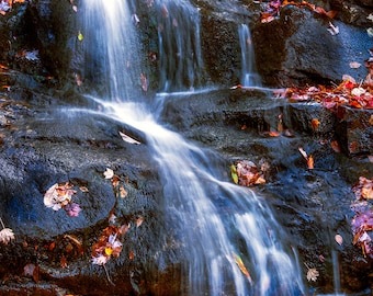 Laurel Falls Waterfall, Blurred Water, Great Smoky Mountains, Tennessee Wall Art, Fine Art Photography Print, Canvas or Framed Canvas