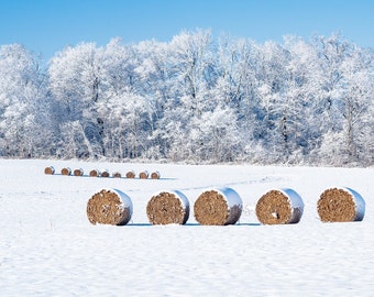 May include: A snowy field with a row of round hay bales in the foreground and a line of snow-covered trees in the background.