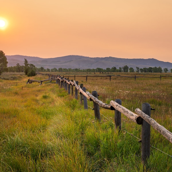 Wyoming Sunrise Farm Fence Row, Farmhouse Décor, Country Scenery, Rural Landscape Photograph, Western Photography, Wall Art Canvas Print