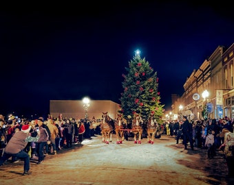 Christmas Tree Parade, Manistee Sleigh Bell Festival, Victorian, Horses, Holiday Wall Art, Home Décor, Michigan Photography Print or Canvas