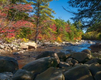 Autumn River with Rocks, Maine Stream, Fall Foliage Color, Shoreline Forest, Woods, Wall Art, Home Décor, Maine Photography Print or Canvas