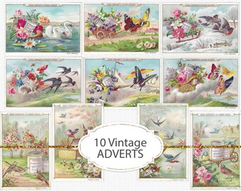 Vintage card label adverts, birds and butterflies, junk journal ephemera, garden junk journal element, vintage advert trading cards (JVV23)