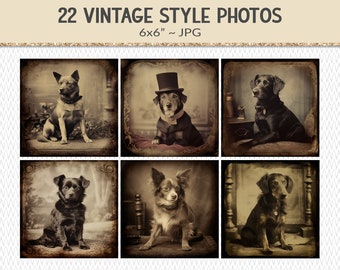 Vintage dog portrait photographs, 1840s style copper plate photography, junk journal ephemera design elements, 22 old photos (AP01)