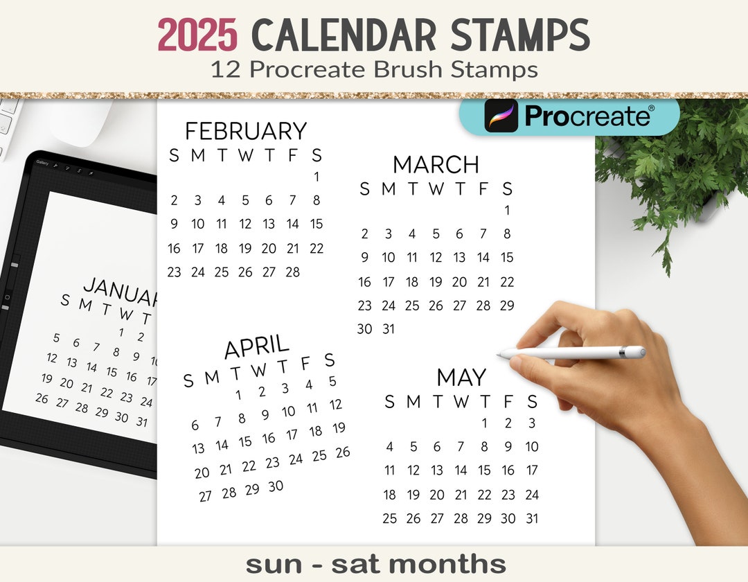 2025 Procreate Calendar Brush Stamps, 12 Individual Months, Simple