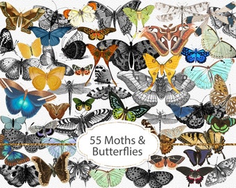 Big butterfly clipart bundle, 55 vintage moths & butterflies, junk journal ephemera elements, 3-6" PNG graphics, variety pack (JVV12)