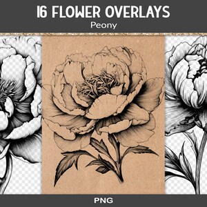 Peony flowers digi stamp, monotone png graphics, decorative shabby stamps for junk journal, scrapbook or vintage paper crafts (RY83)