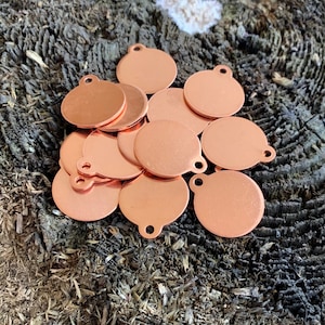 May include: A pile of copper-colored metal discs with a hole in the center. The discs are arranged in a random pattern on a rough, brown surface.