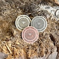 BEELZEBUB Coin || Beelzebub Seal || Beelzebub Coin | Beelzebub Demon Seal | Pendant | Souvenir || magical Talisman product logo