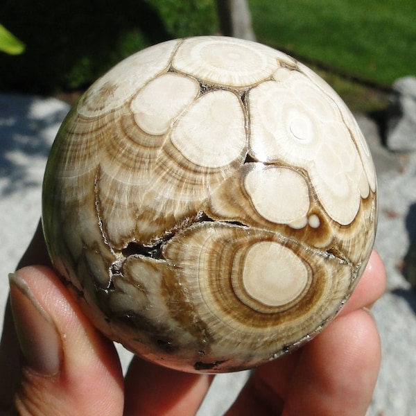 Hand carved ~ 2.3" BARITE - MARCASITE Sphere BALL - Poland, Lubin mine - Rare!!!- Free shipping - Air Mail - worldwide on everything !