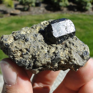 May include: A raw mineral specimen featuring a large, dark, metallic-lustered crystal embedded in a textured, earthy matrix. The host rock is a mottled mix of olive-green, tan, and grey tones, speckled with smaller, dark, crystalline inclusions throughout.