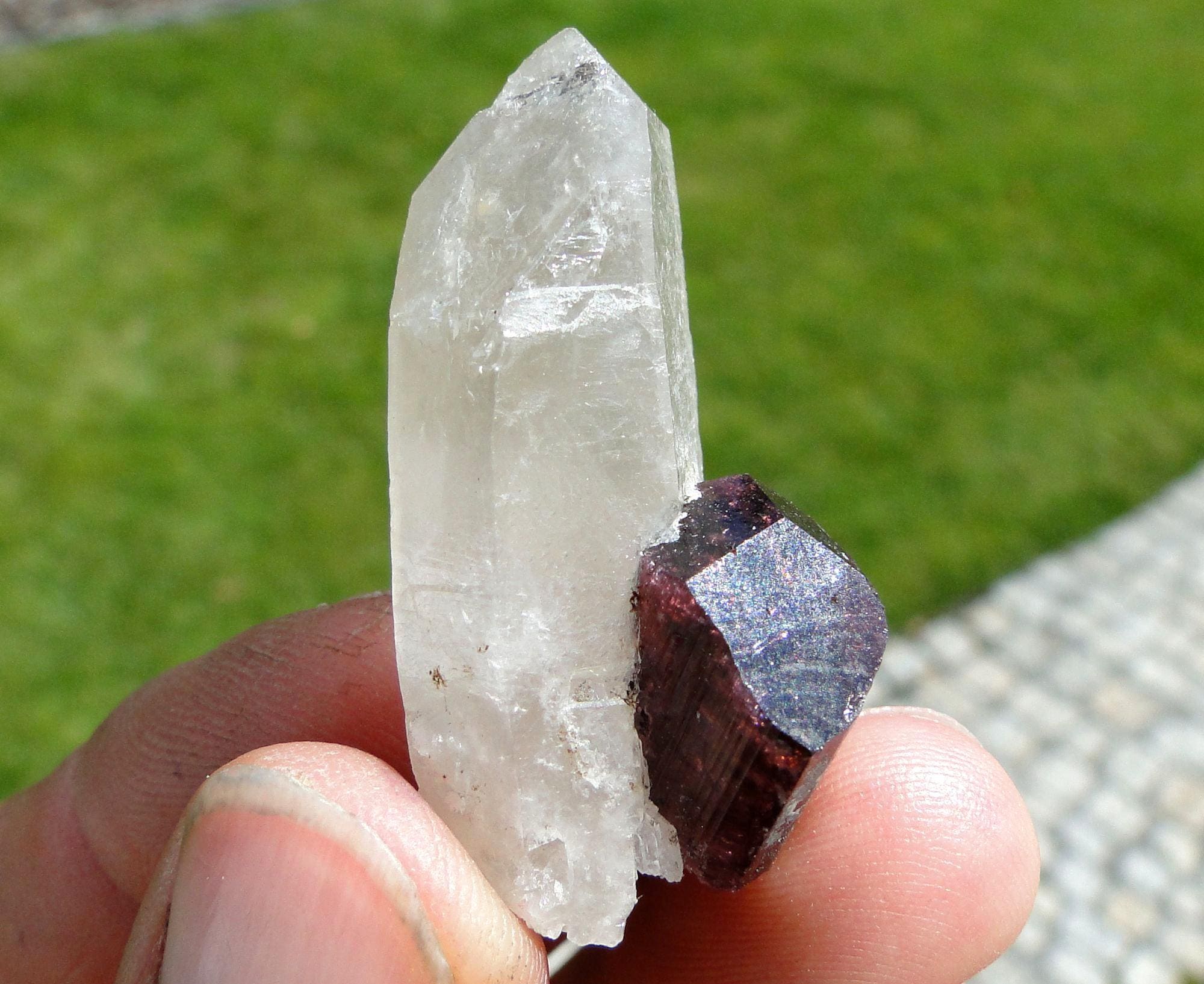 Liddicoatite - Etsy 日本
