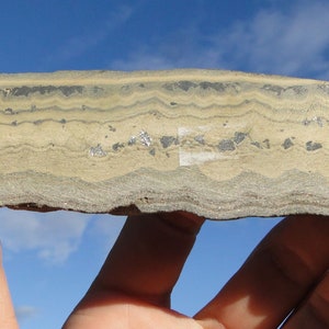 May include: A close-up of a banded rock with alternating layers of light brown and dark gray. The rock has a rough, textured surface.