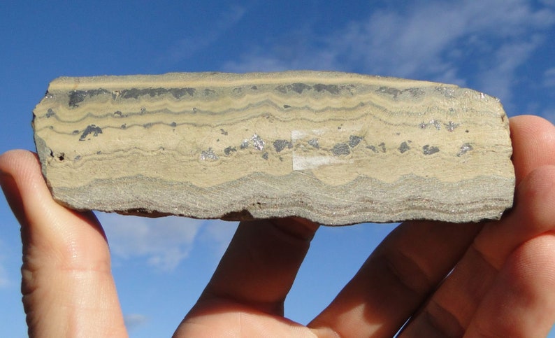 May include: A close-up of a banded rock with alternating layers of light brown and dark gray. The rock has a rough, textured surface.