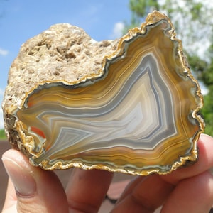 May include: A polished agate slice featuring concentric bands of amber, cream, gray, and white. The stone has a rough, textured, tan-colored outer crust and a smooth, translucent interior surface with sharp, angular geometric patterns.
