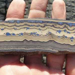May include: A close-up of a banded iron formation rock sample. The rock has alternating layers of dark gray and light brown, with some blue-gray streaks.