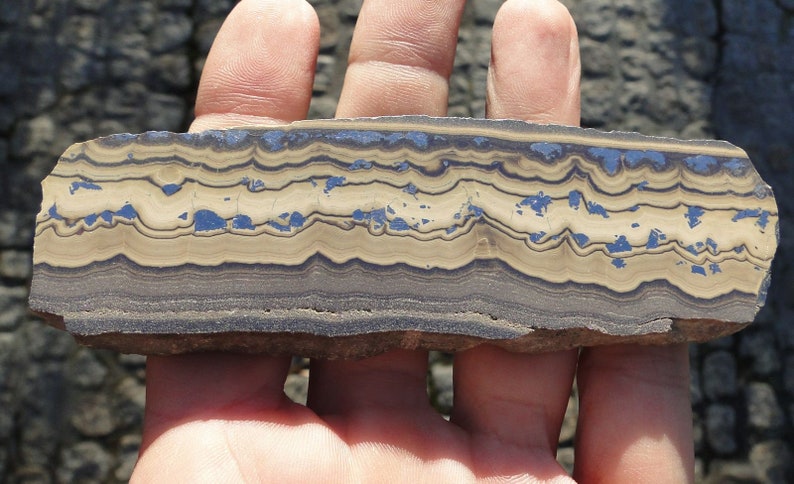 May include: A close-up of a banded iron formation rock sample. The rock has alternating layers of dark gray and light brown, with some blue-gray streaks.