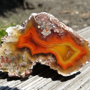 May include: A polished agate slice featuring vibrant concentric bands of orange, yellow, and deep red. The translucent centre transitions into a rough, textured, and earthy brown outer crust with crystalline mineral deposits along the edges.