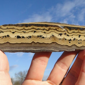 May include: A banded iron formation rock with alternating layers of brown, black, and white. The rock has a smooth, polished surface.