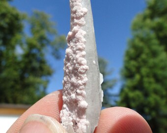 1.8&quot; Hooded Quartz Crystal covered RHODOCHROSITE - Casapalca Mine, Peru - Free shipping - Air Mail - worldwide on everything !